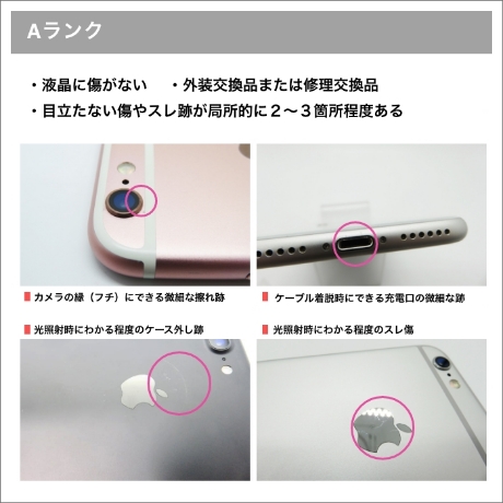 見本1